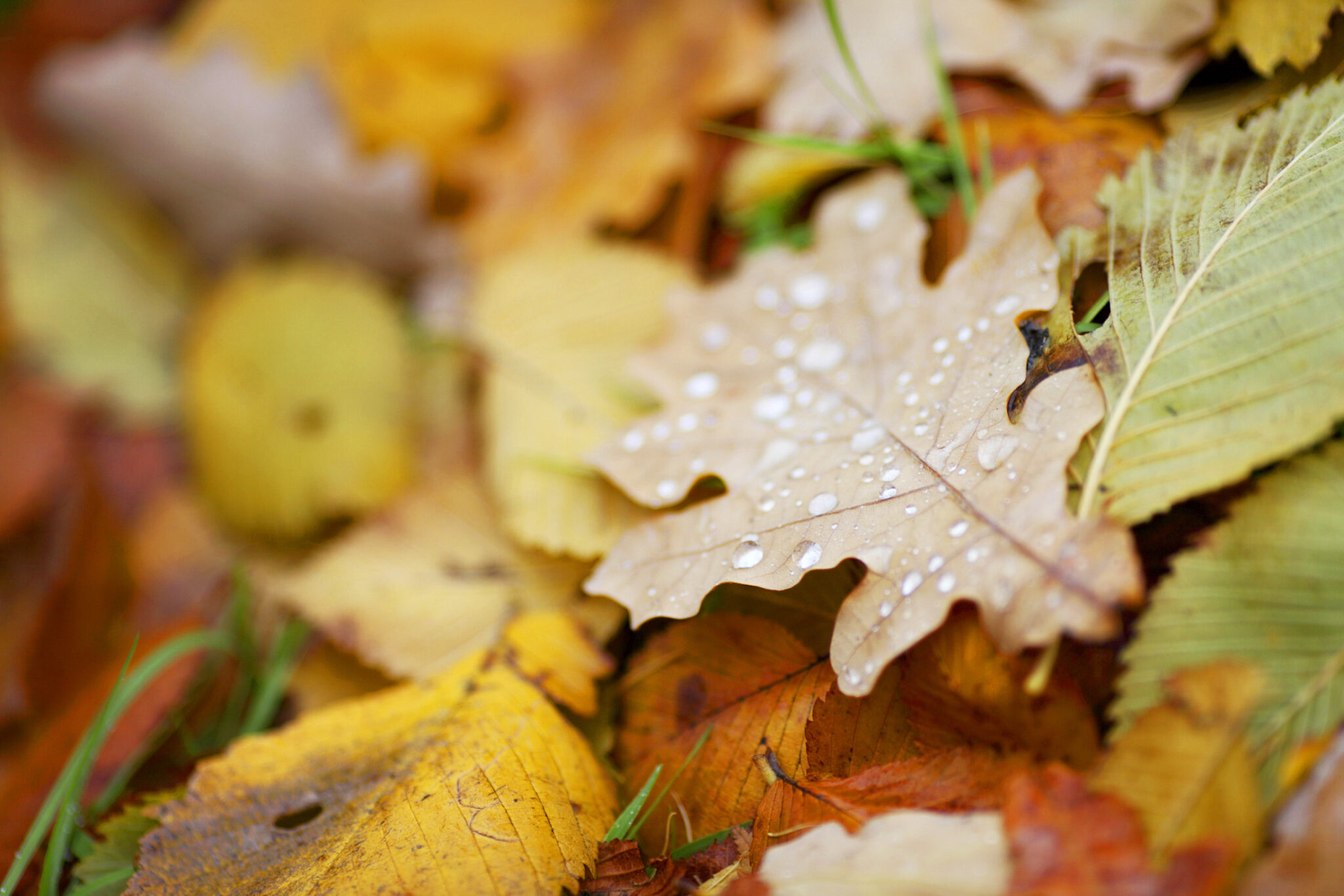 High Performance Lubricants for Commercial & Industrial Use SWEPCO