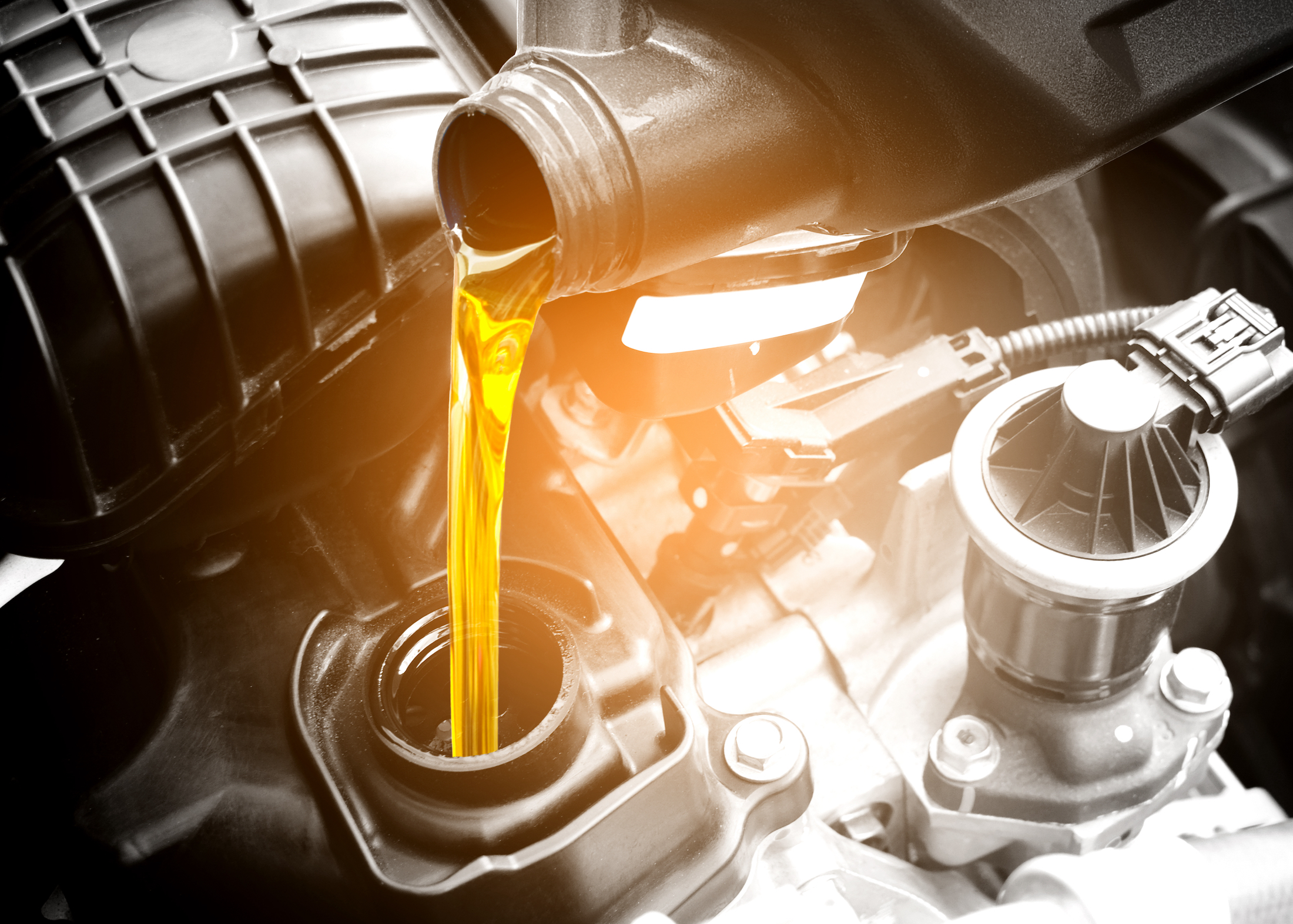 Transmission Fluids